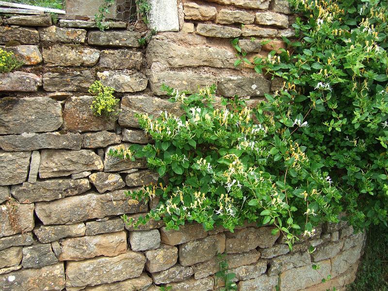 2010-05- (49).JPG